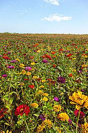 《审判军团 ：堕天使》Steam页面上线 支持简体中文